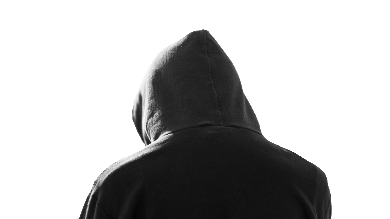 Hoodie Collection